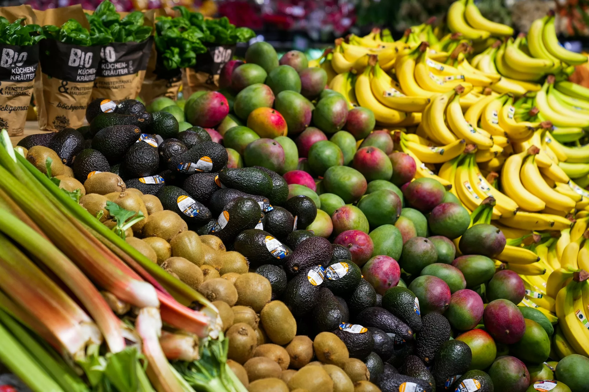 299591739_5352468371462997_6008145307807073830_n